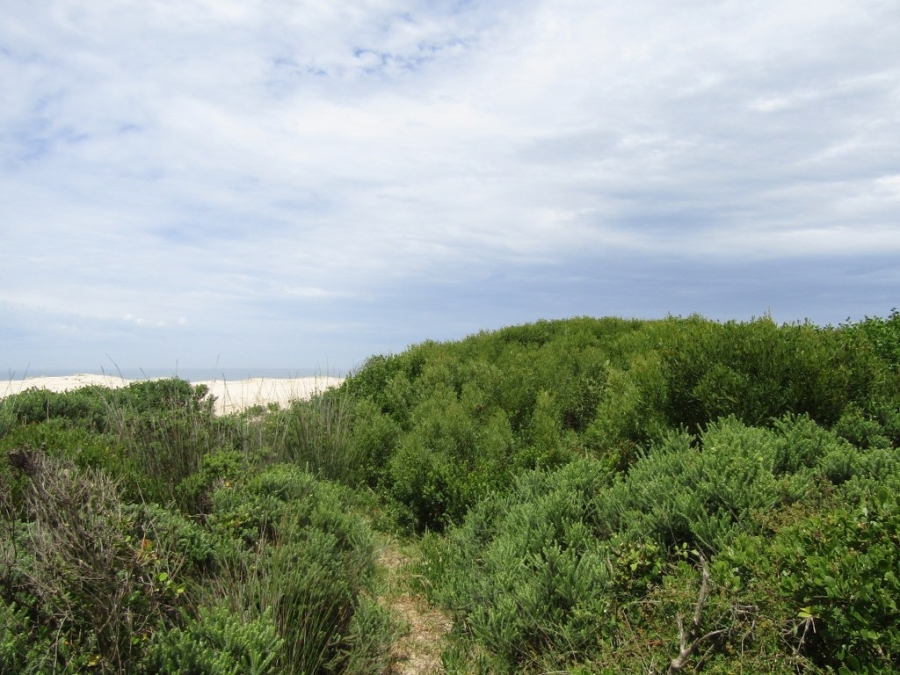 0 Bedroom Property for Sale in Oyster Bay Eastern Cape